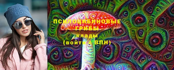 прущие грибы Верхнеуральск